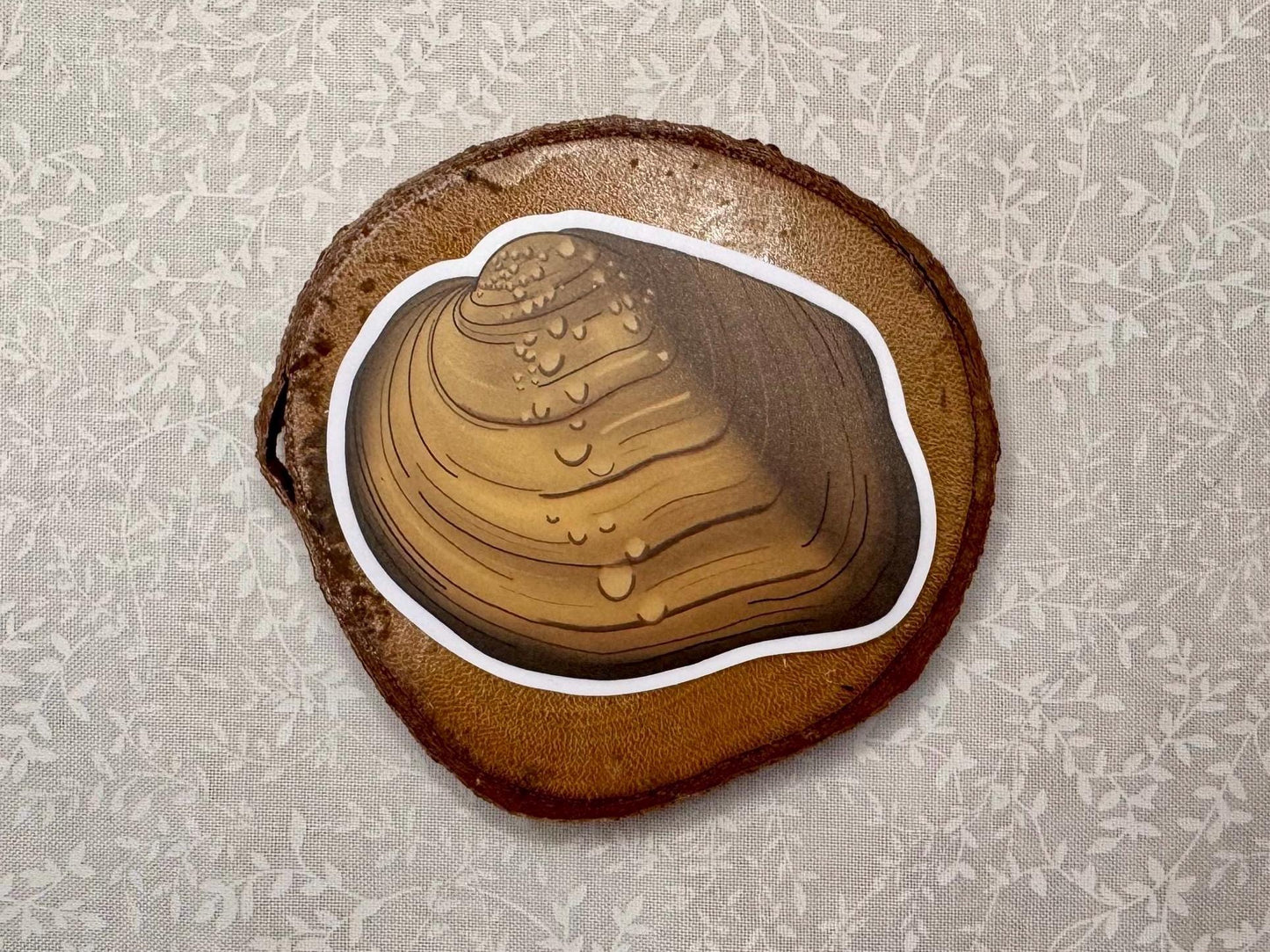 Freshwater mussel | Sticker