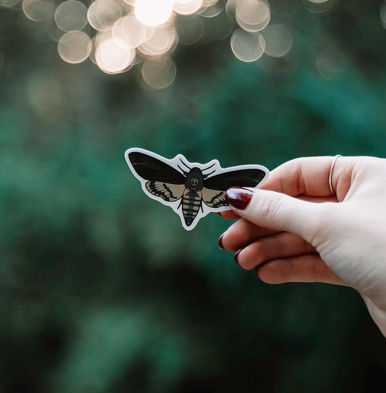 Death's-head hawkmoth | Sticker