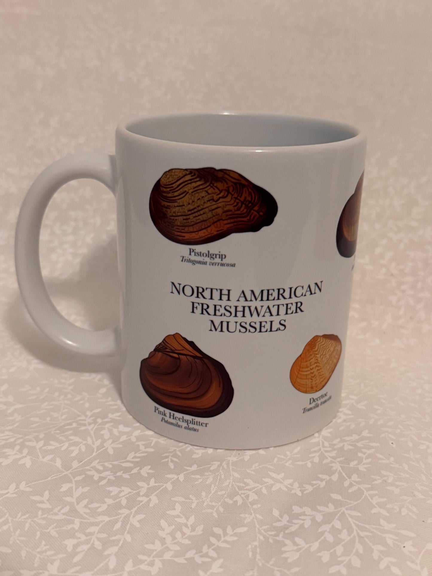 Freshwater mussel mug | Drinkware