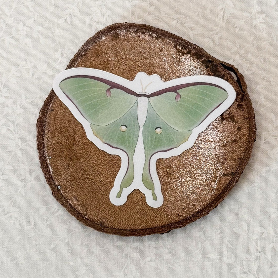 Luna moth | Sticker