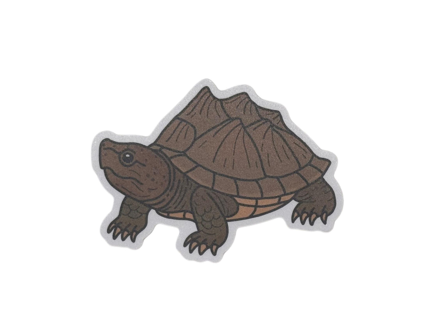 Razorback musk turtle | Sticker