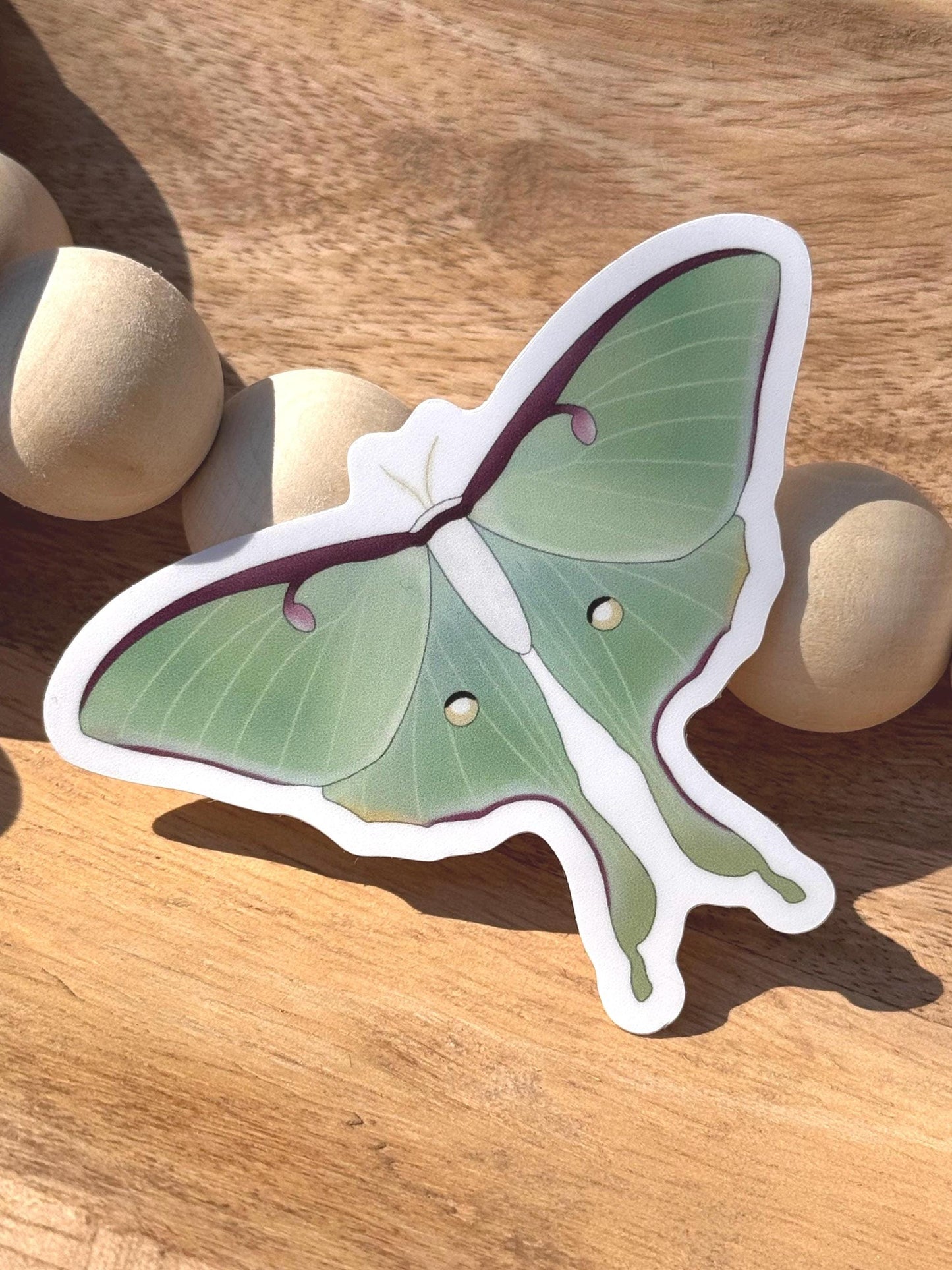 Luna moth | Sticker