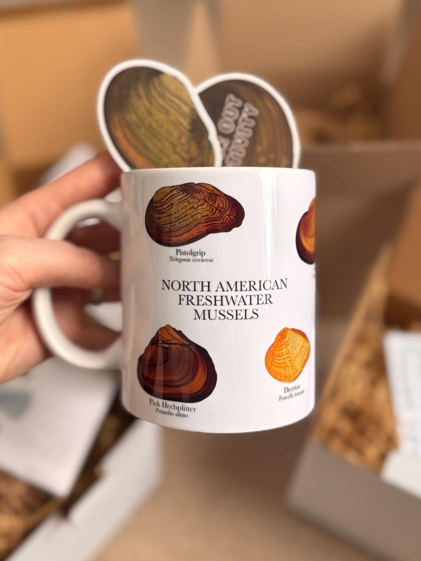 Freshwater mussel mug | Drinkware