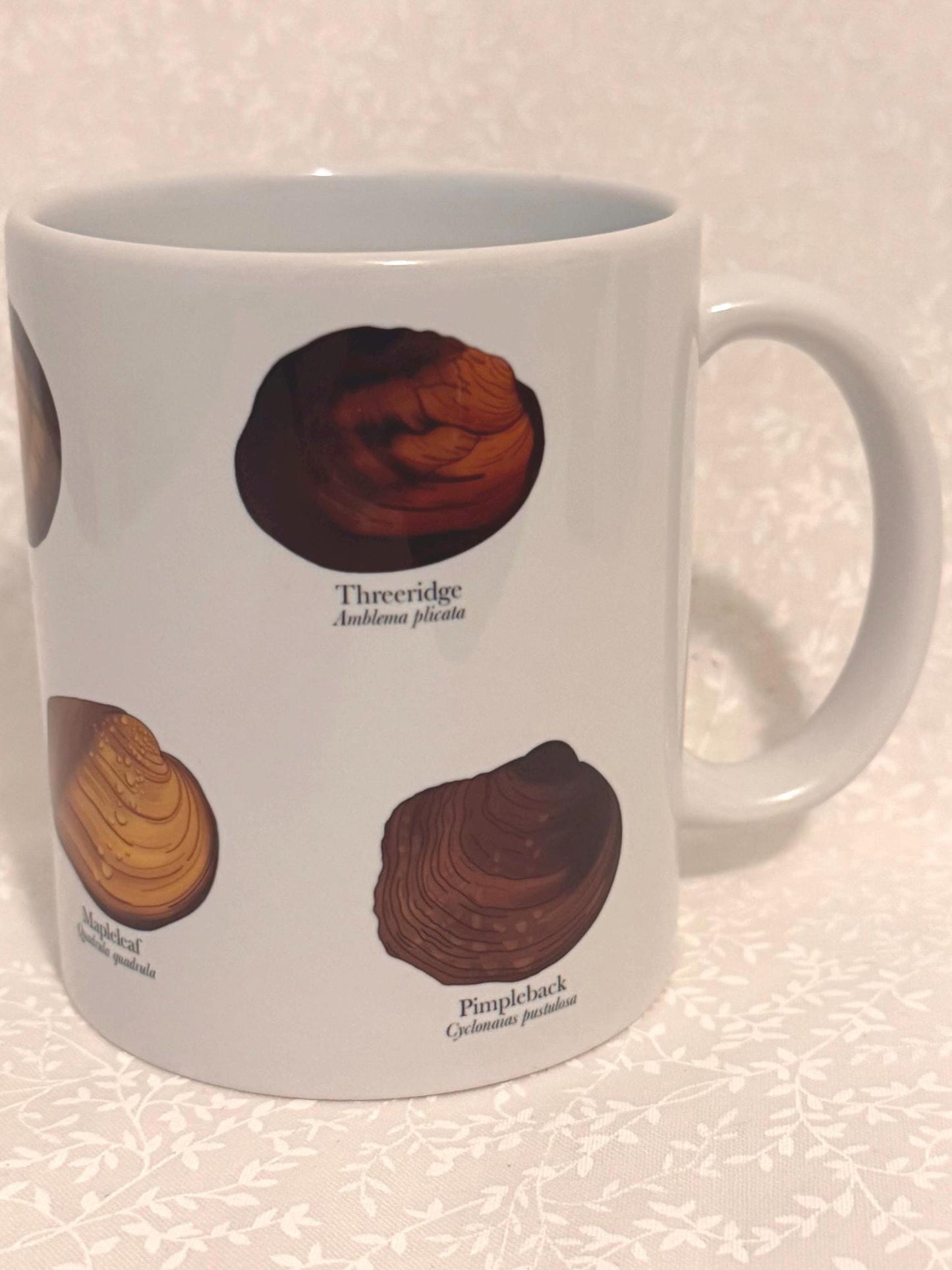 Freshwater mussel mug | Drinkware