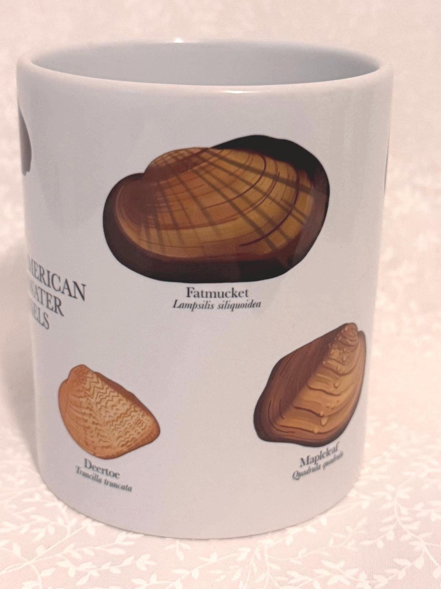 Freshwater mussel mug | Drinkware