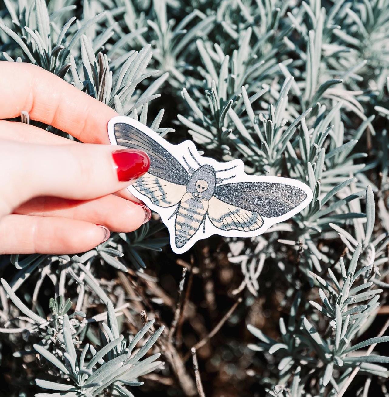 Death's-head hawkmoth | Sticker