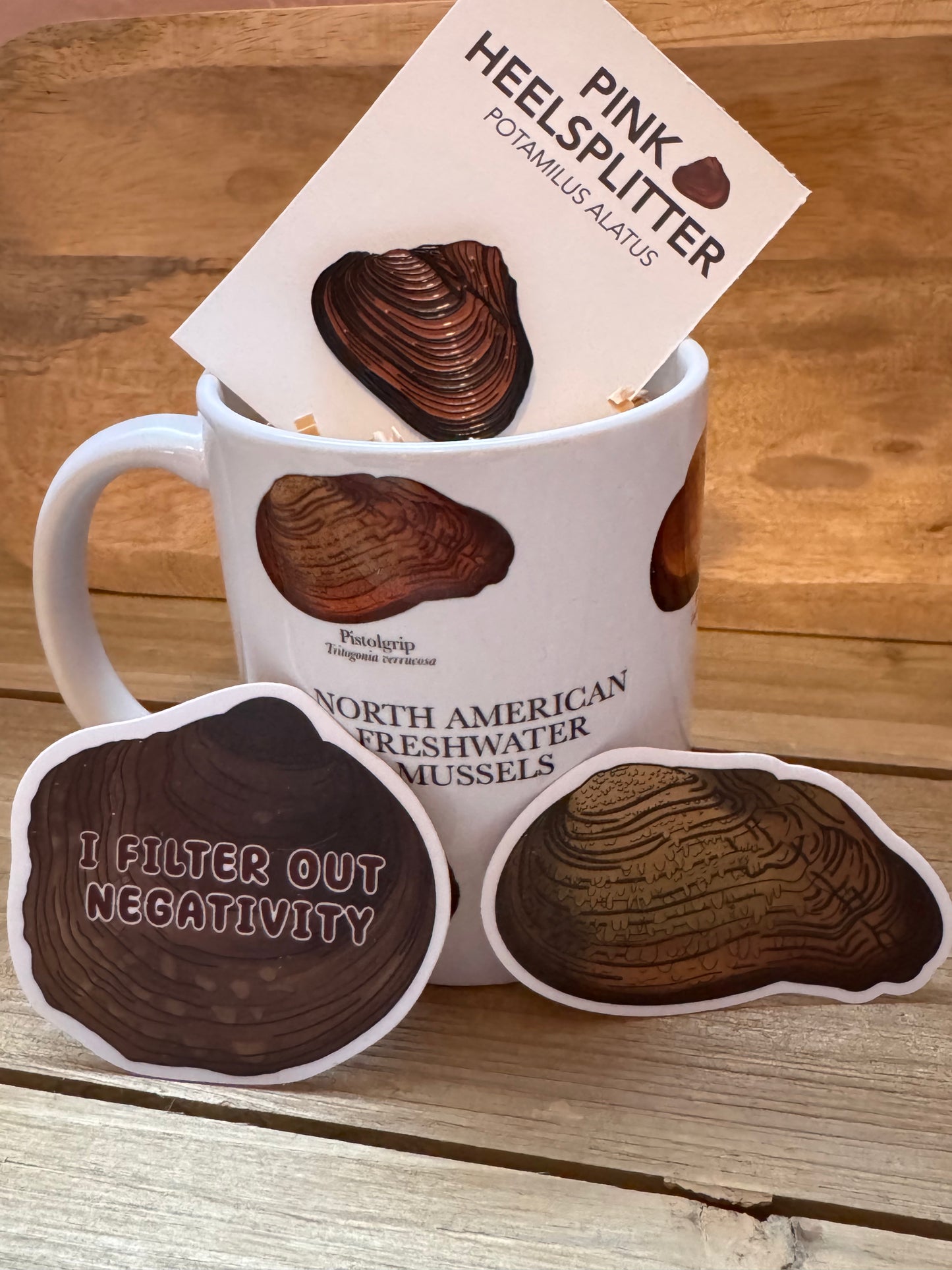 Freshwater Mussel Starter Kit