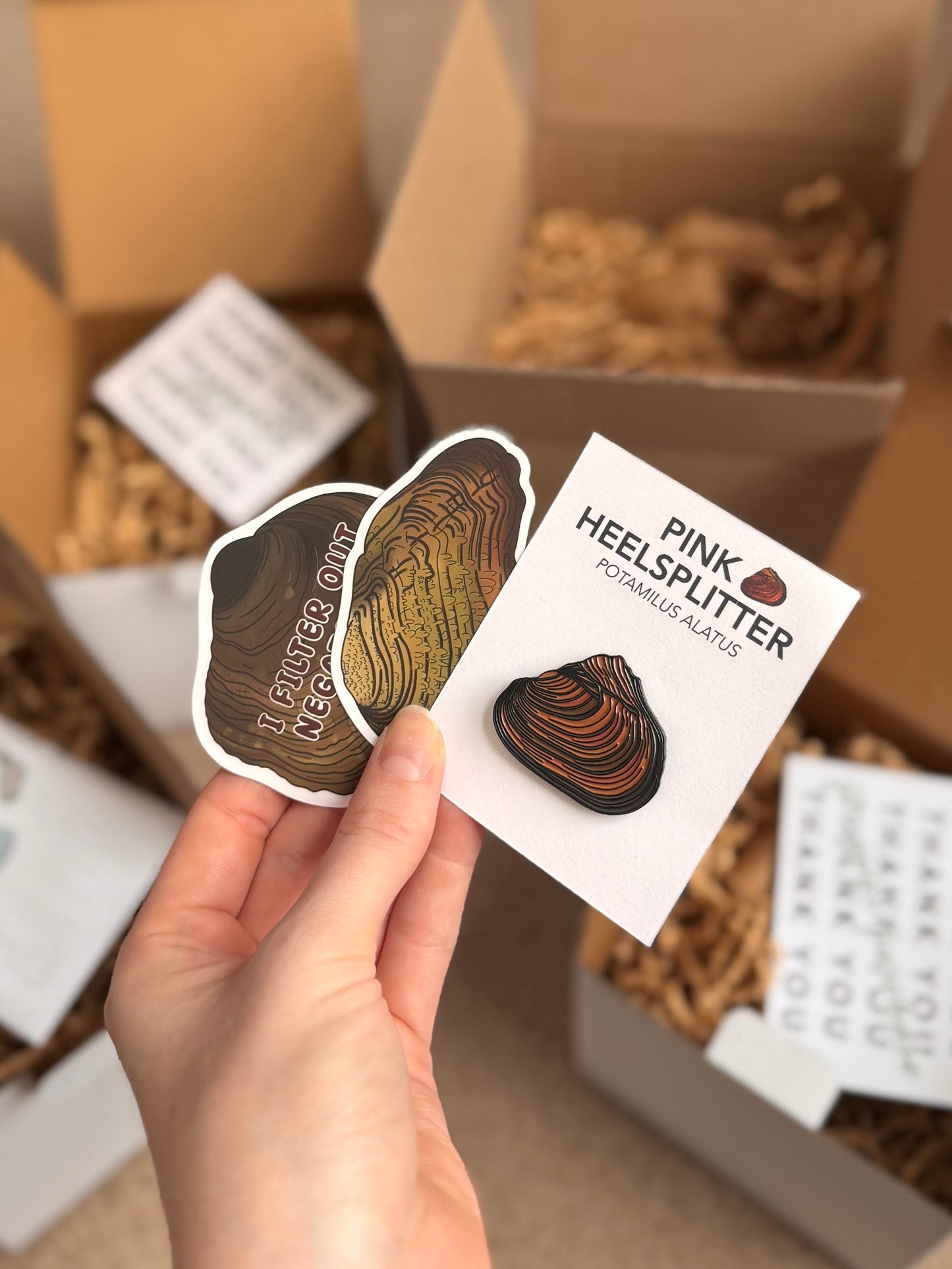 Freshwater Mussel Starter Kit