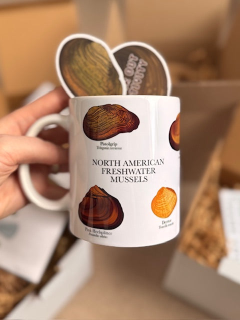Freshwater Mussel Starter Kit