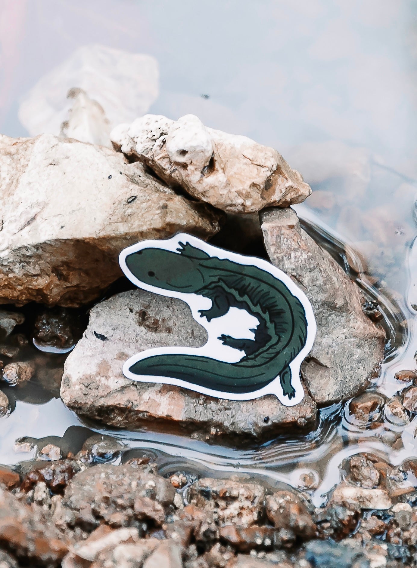 Freshwater Sticker Bundle