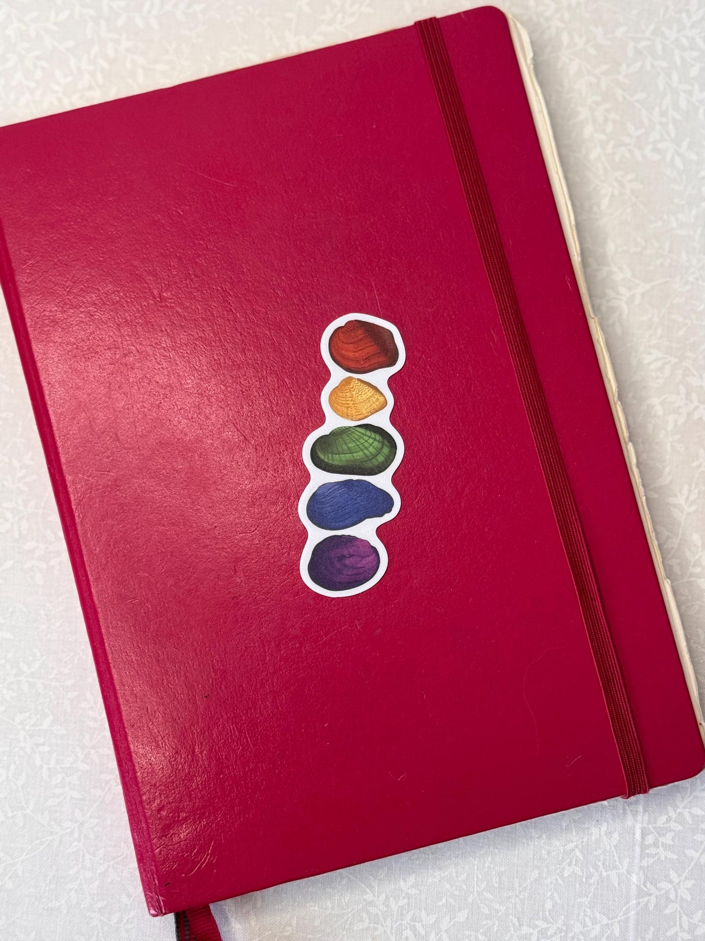 Rainbow freshwater mussel | Sticker