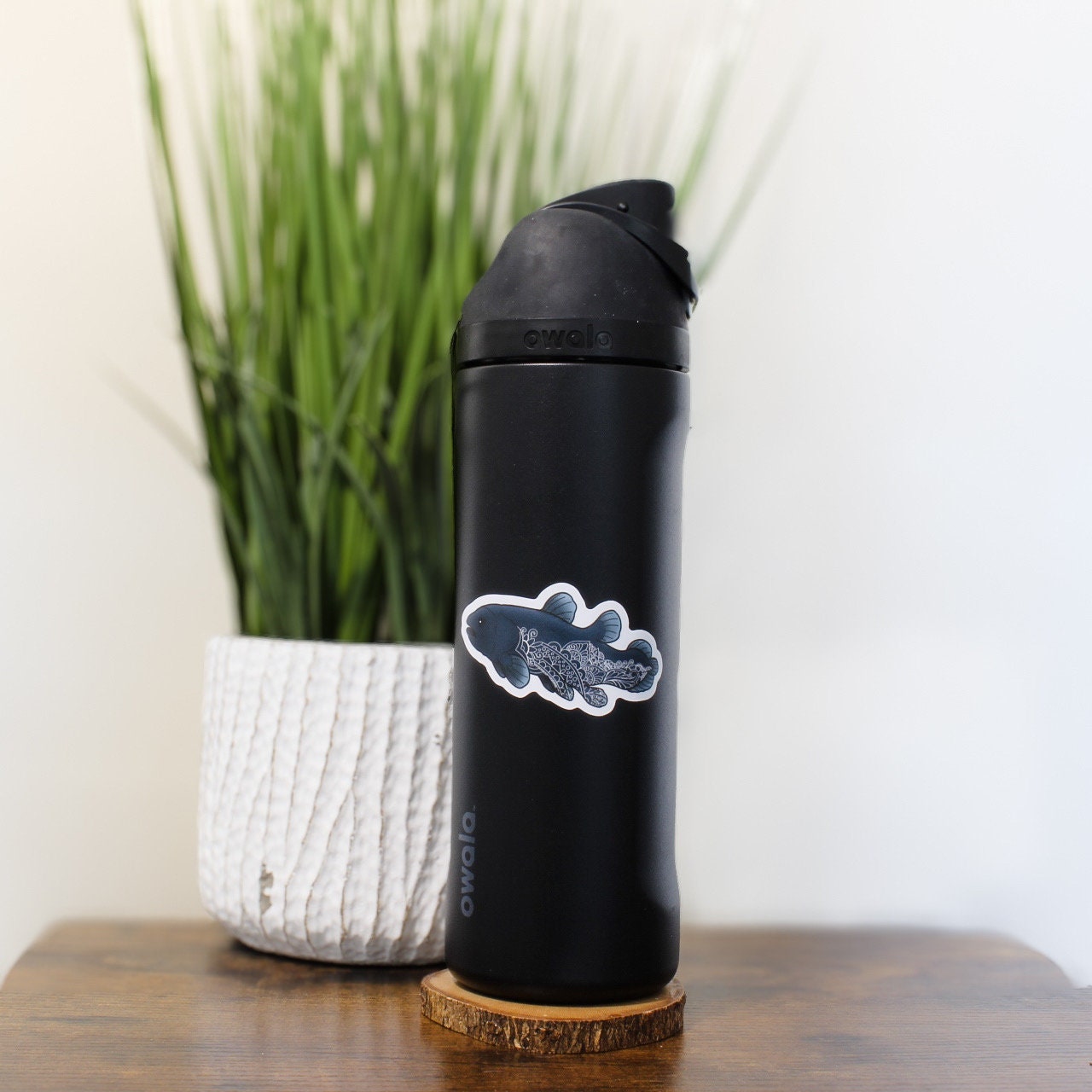 Coelacanth | Sticker