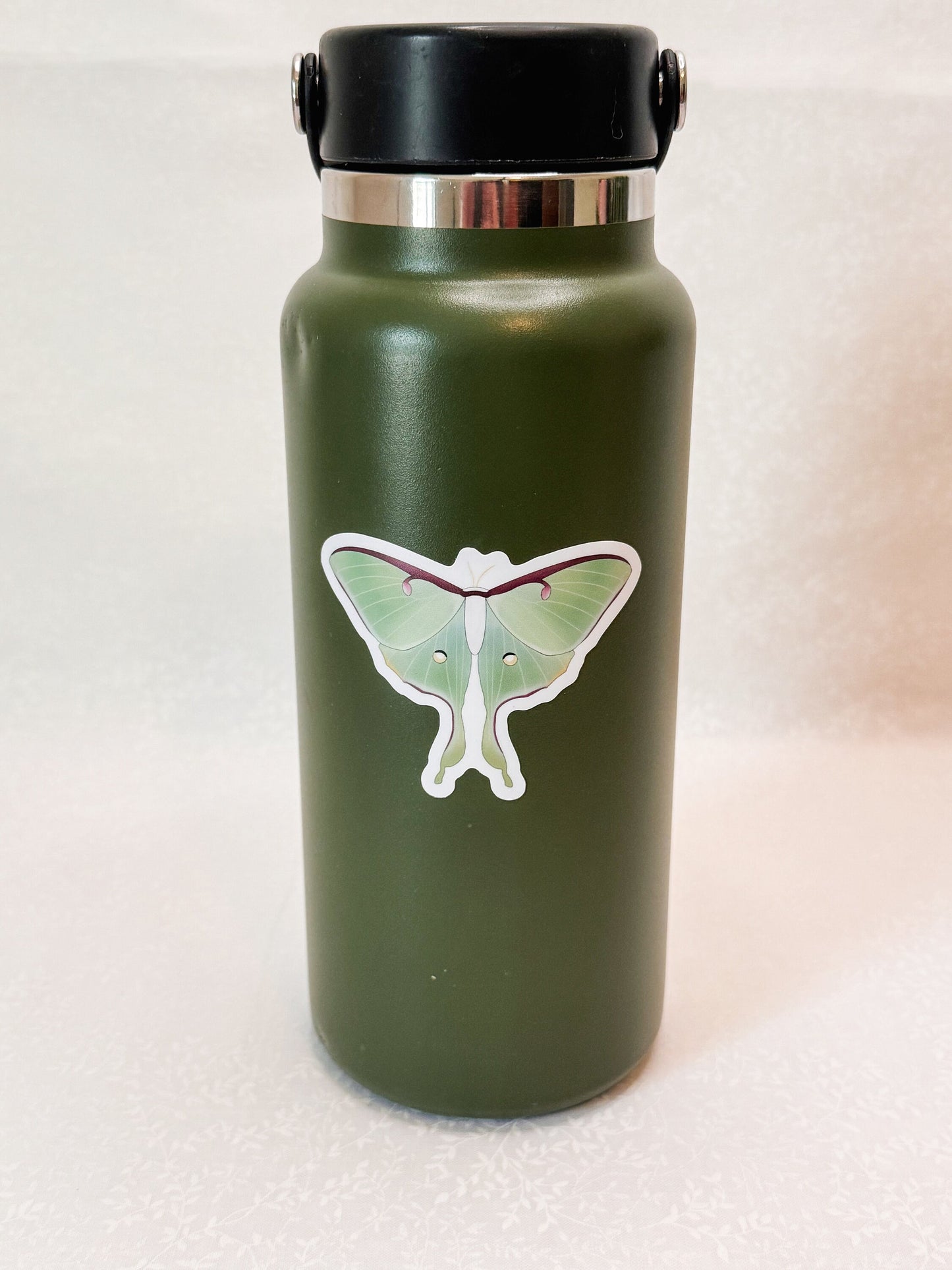Luna moth | Sticker