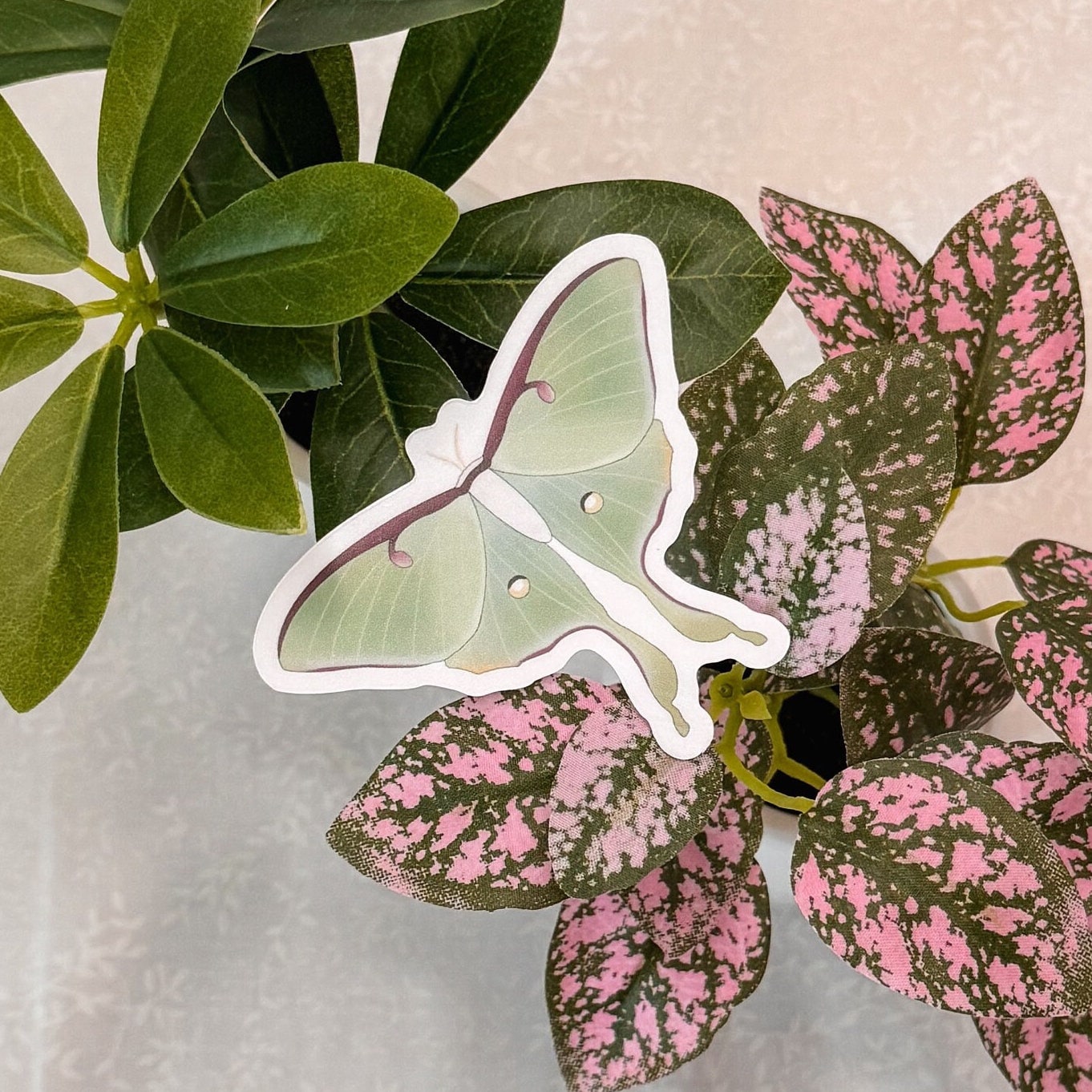 Luna moth | Sticker