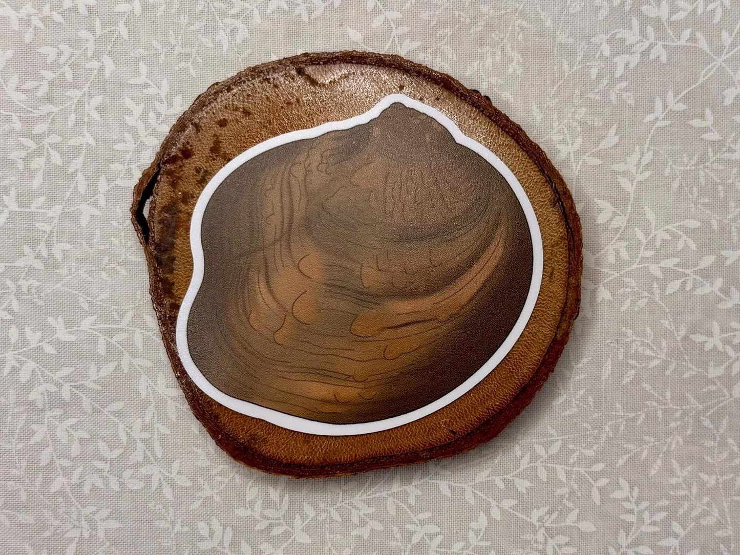 Freshwater mussel | Sticker