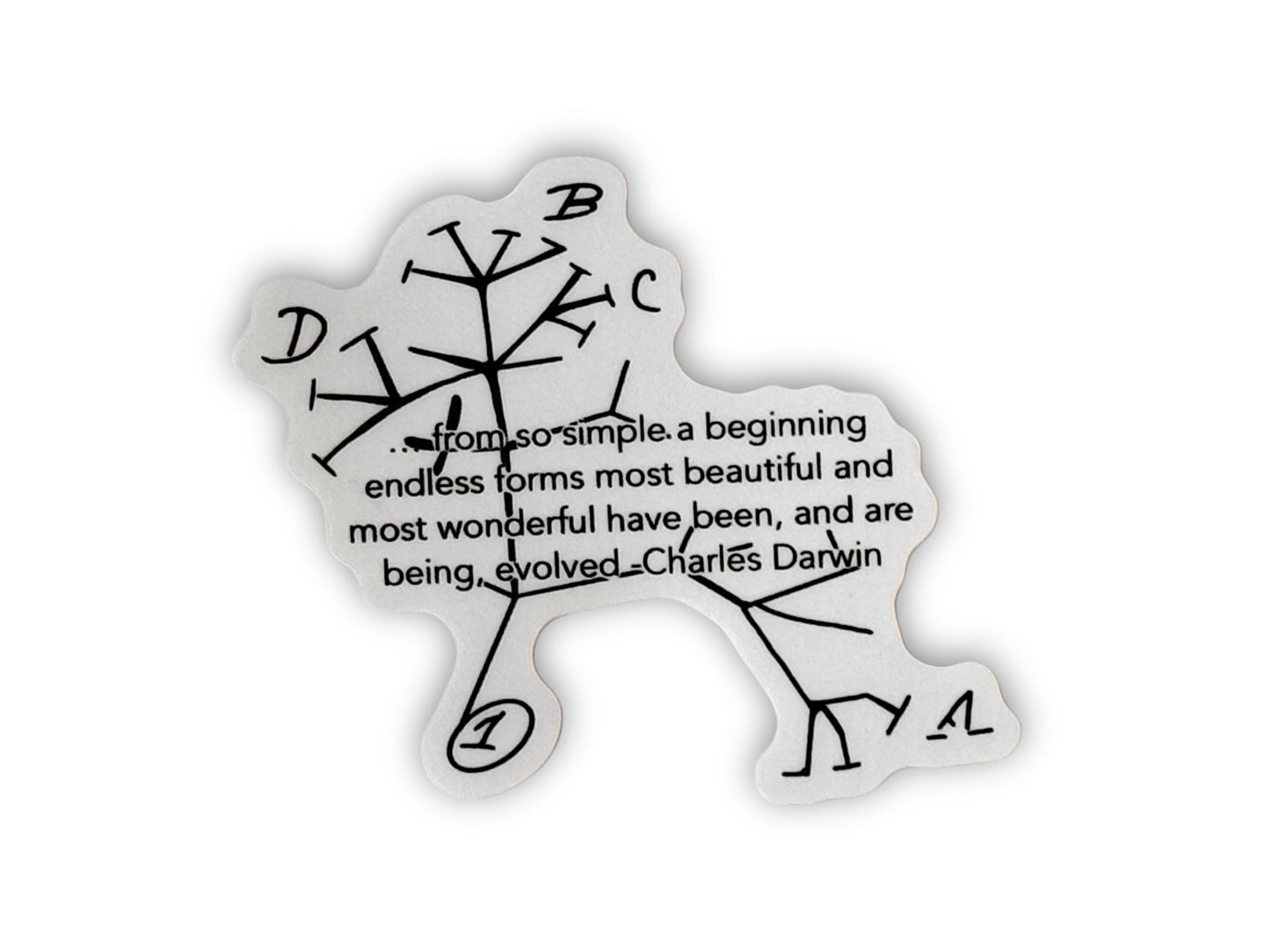 Charles Darwin - Tree of Life | Sticker