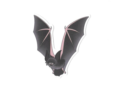 Bat | Sticker