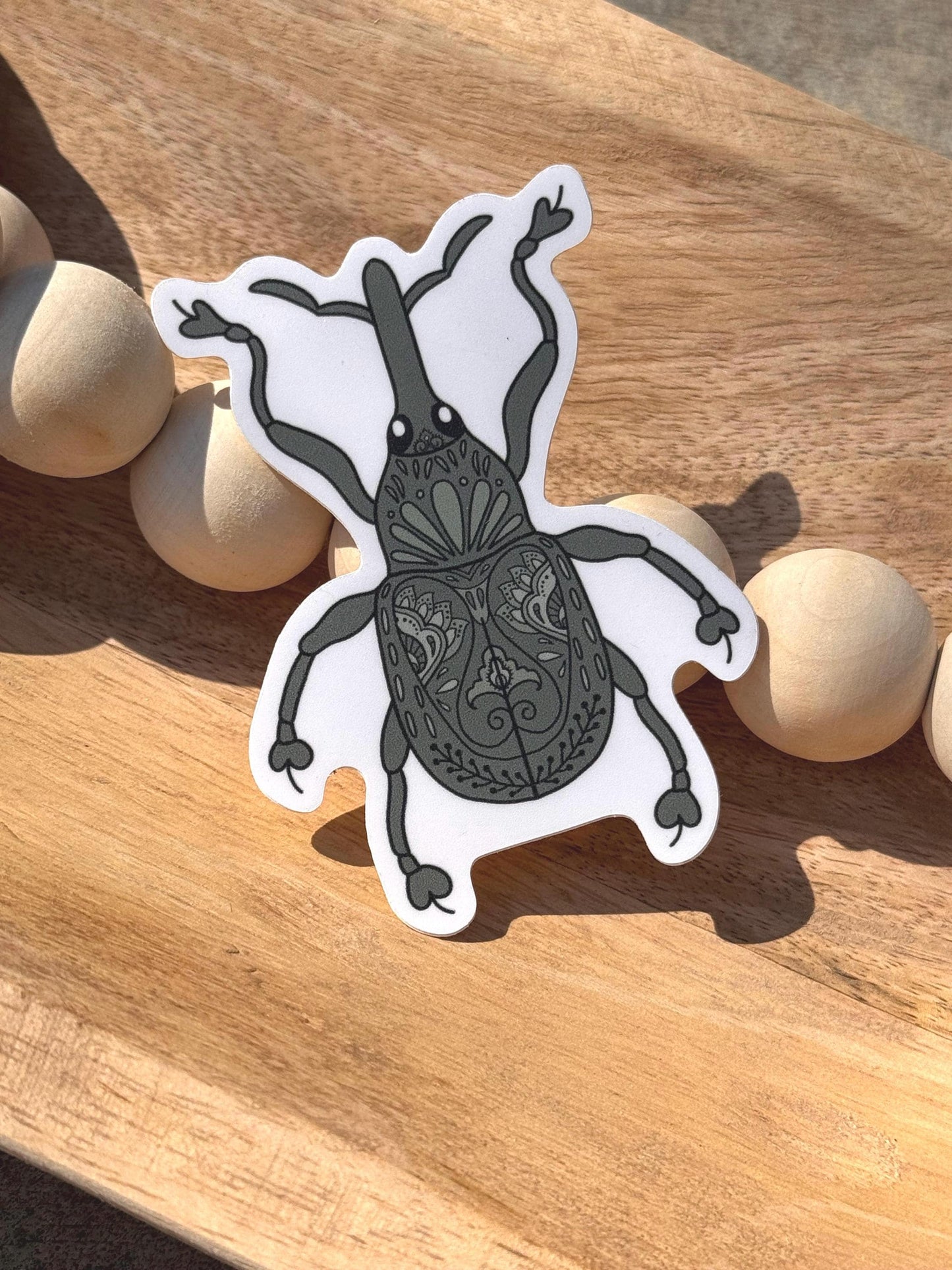 Beetle - weevil | Sticker