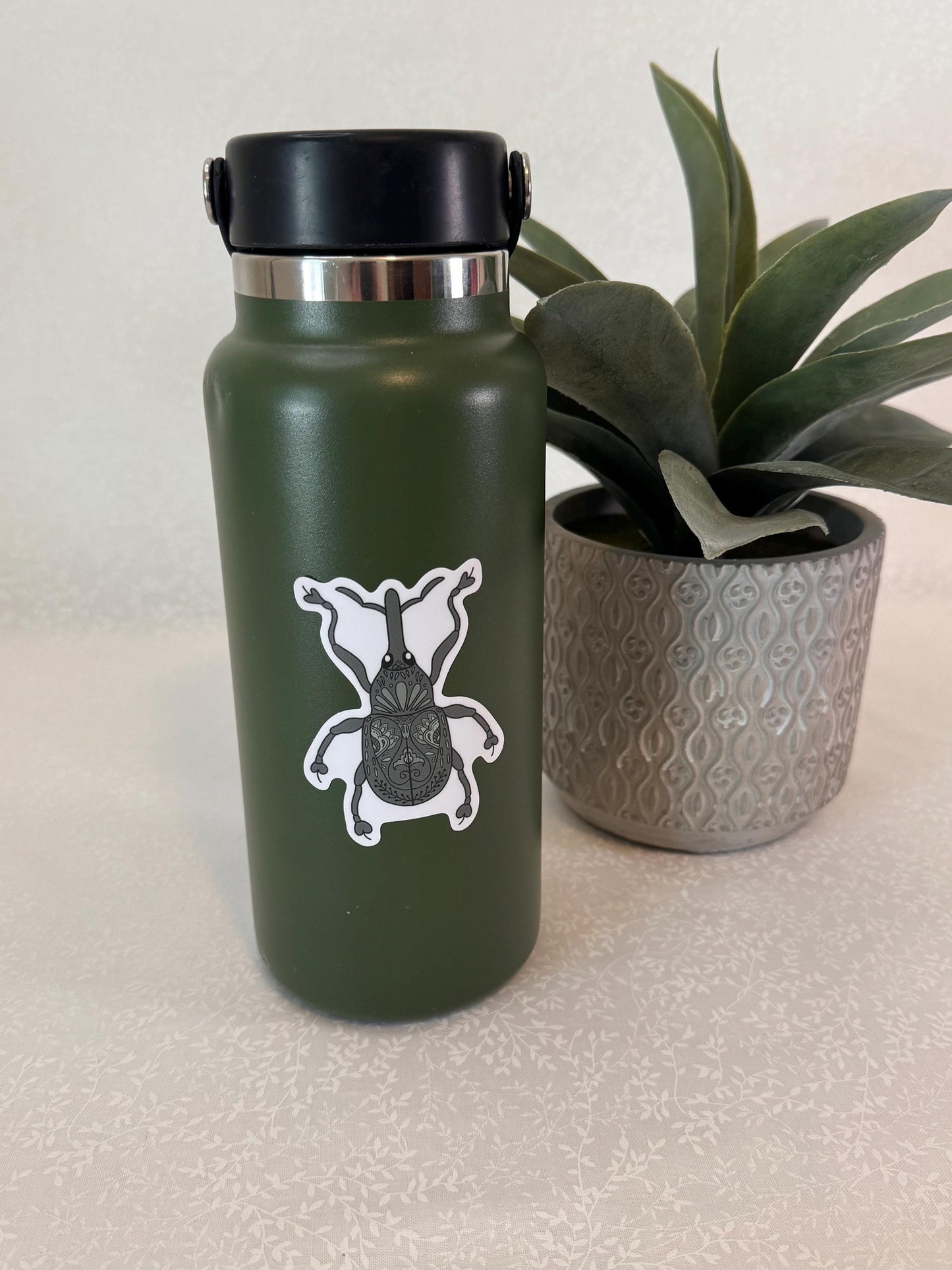 Beetle - weevil | Sticker