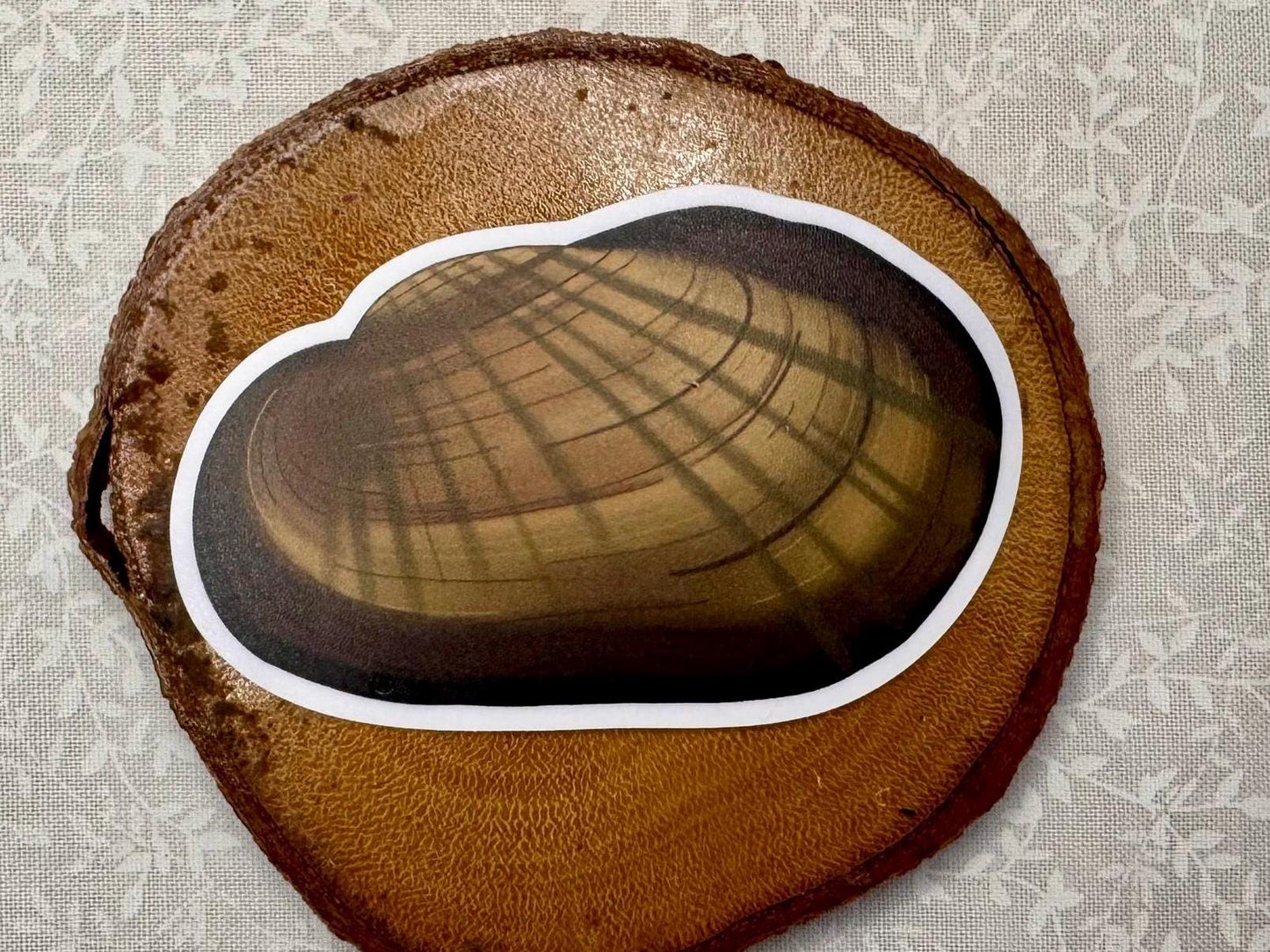 Freshwater mussel | Sticker