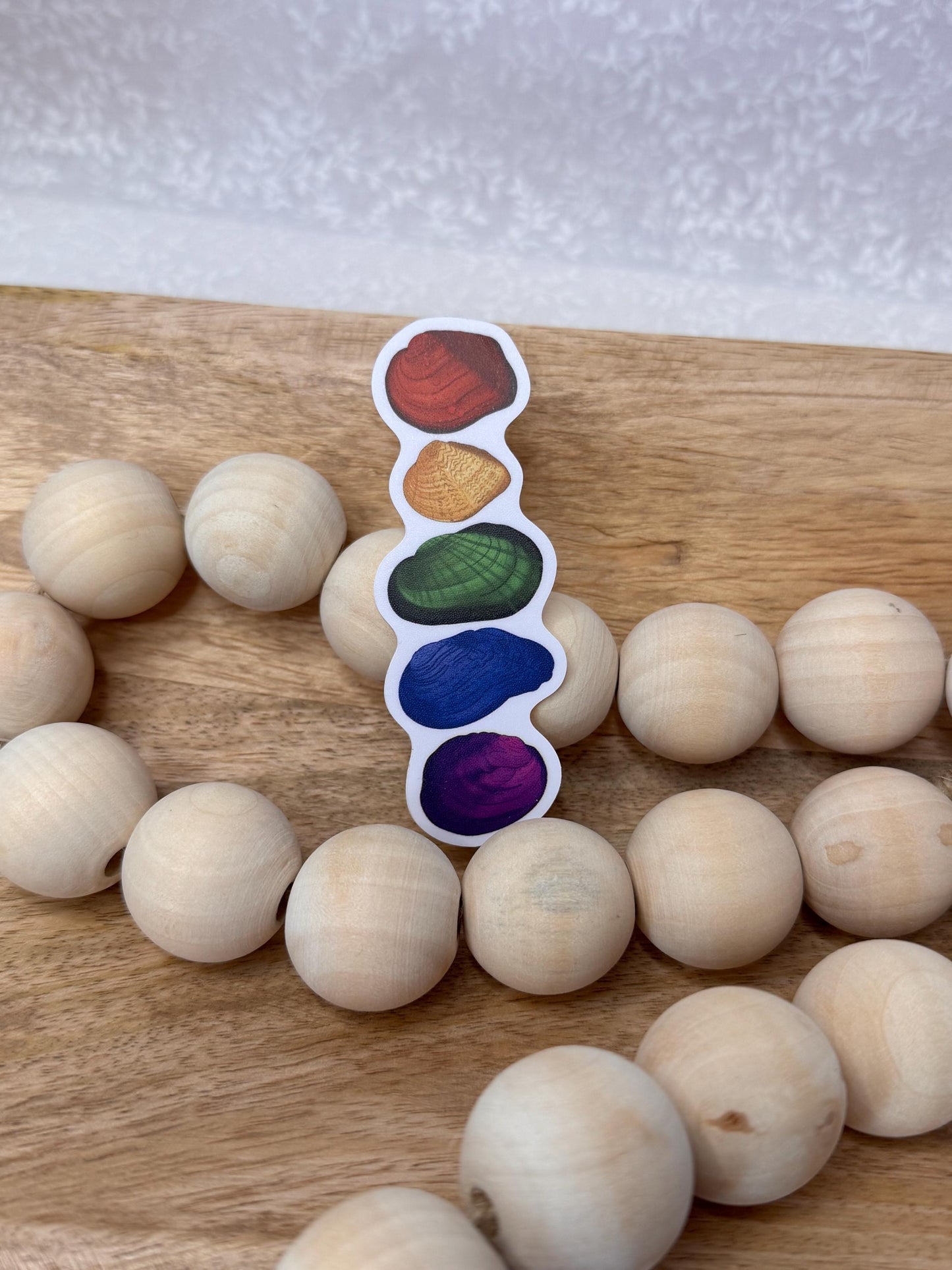 Rainbow freshwater mussel | Sticker