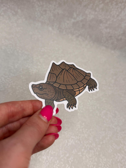 Razorback musk turtle | Sticker