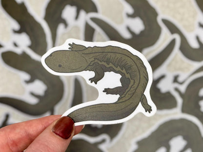 Freshwater Science Sticker Collection (5-Pack Gift Set)