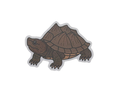 Razorback musk turtle | Sticker