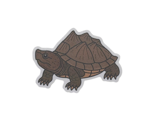 Razorback musk turtle | Sticker
