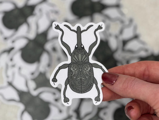 Beetle - weevil | Sticker