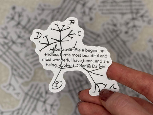 Charles Darwin - Tree of Life | Sticker