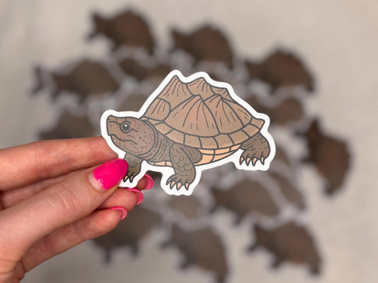 Razorback musk turtle | Sticker