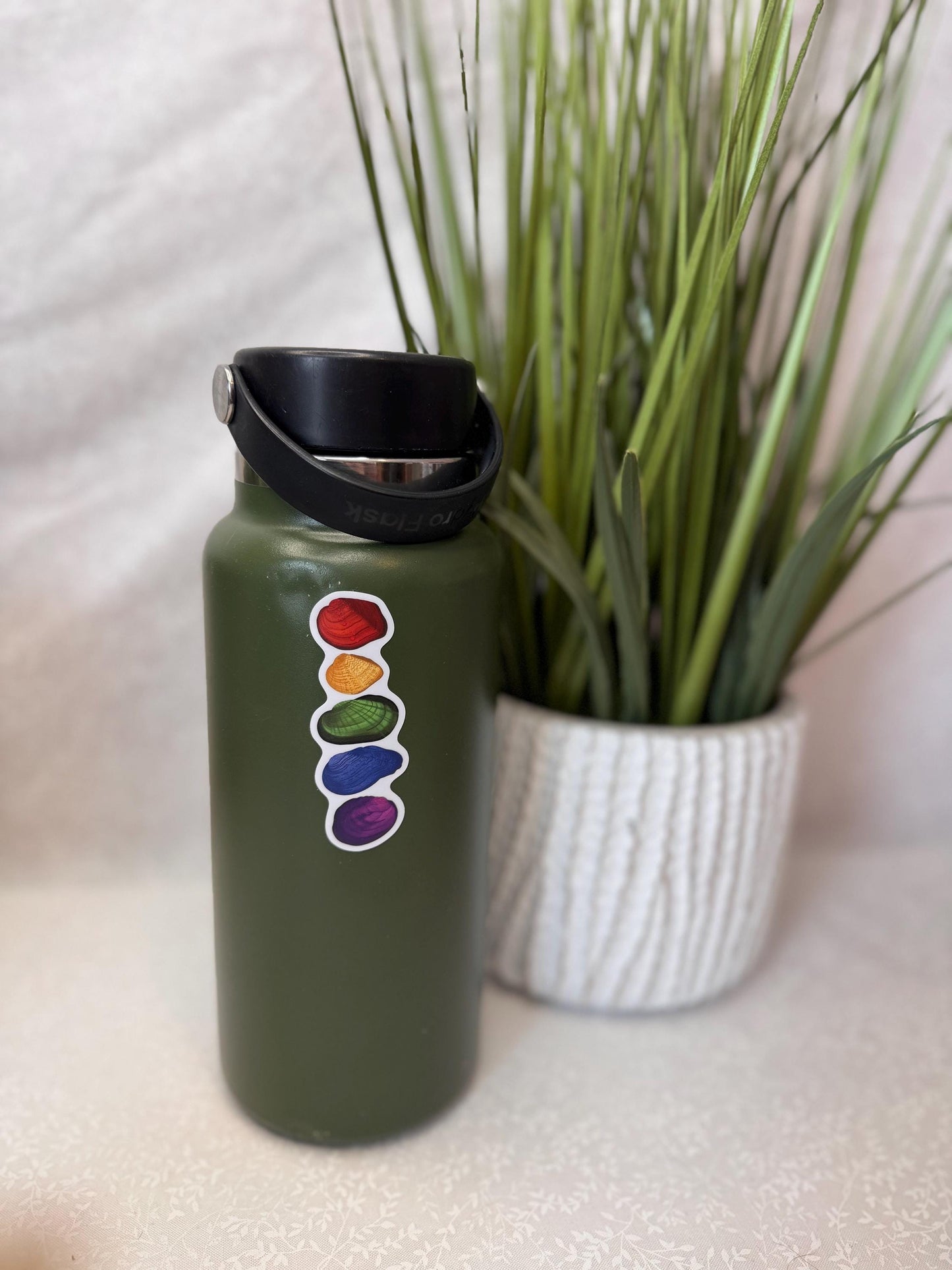 Rainbow freshwater mussel | Sticker