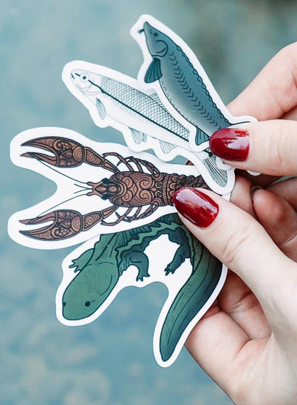 Freshwater Science Sticker Collection (5-Pack Gift Set)