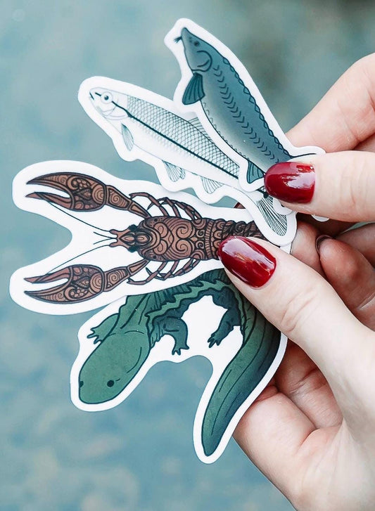 Freshwater Science Sticker Collection (5-Pack Gift Set)