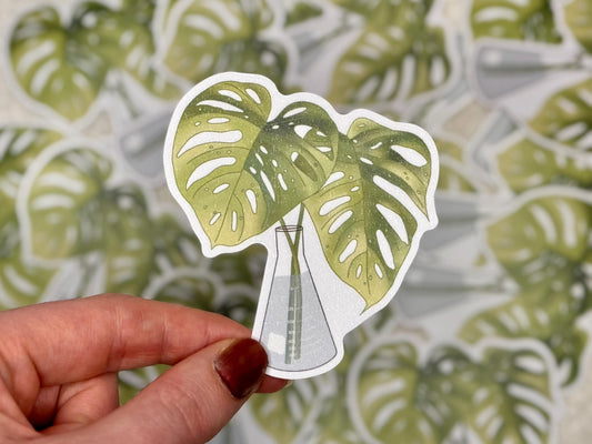Monstera plant | Sticker