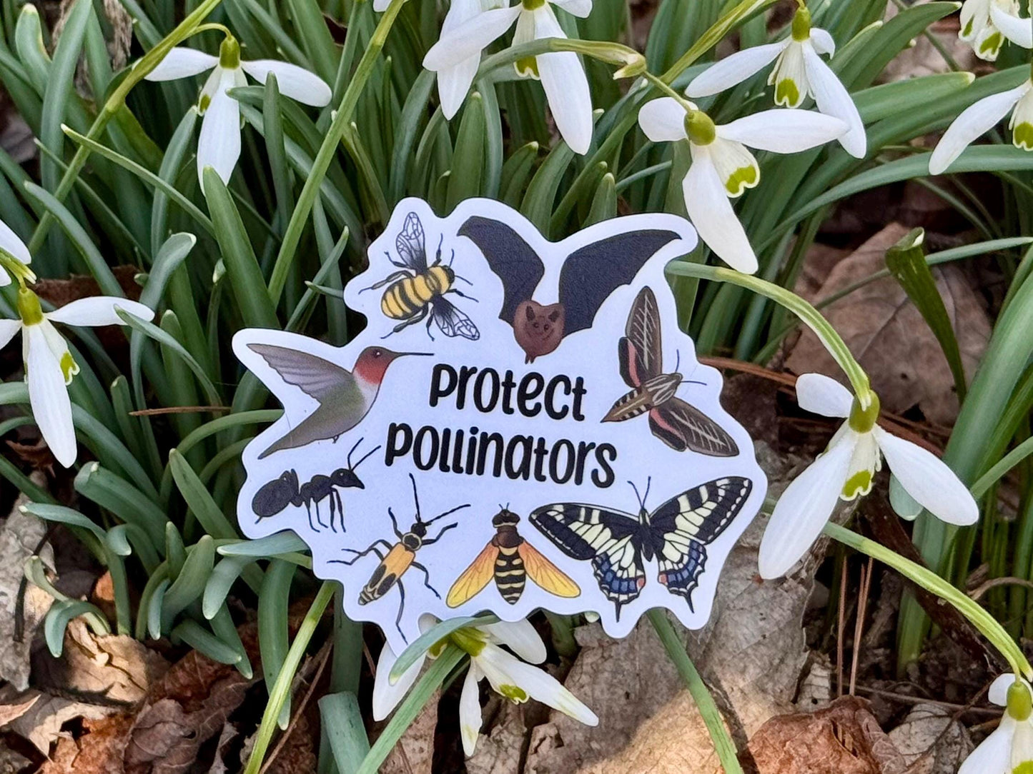 Protect pollinators | Sticker