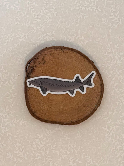 Sturgeon |Sticker