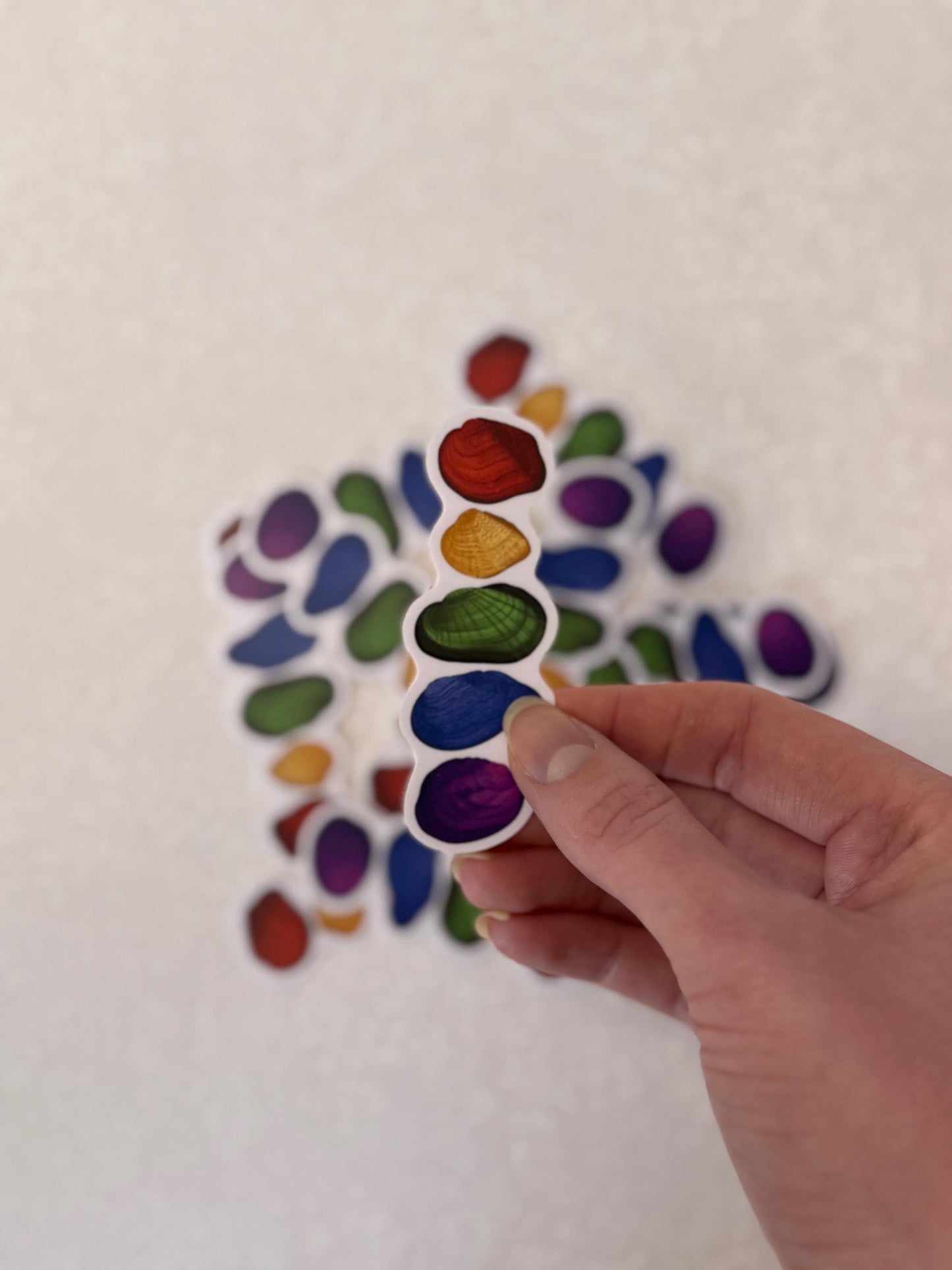 Rainbow freshwater mussel | Sticker