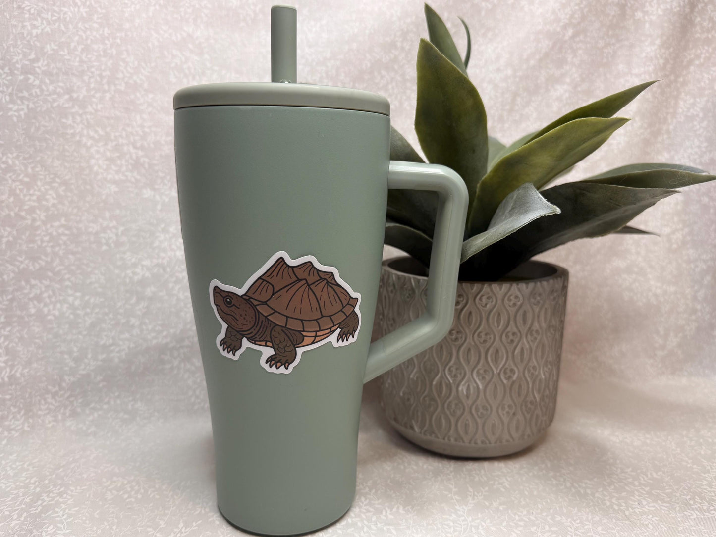 Razorback musk turtle | Sticker
