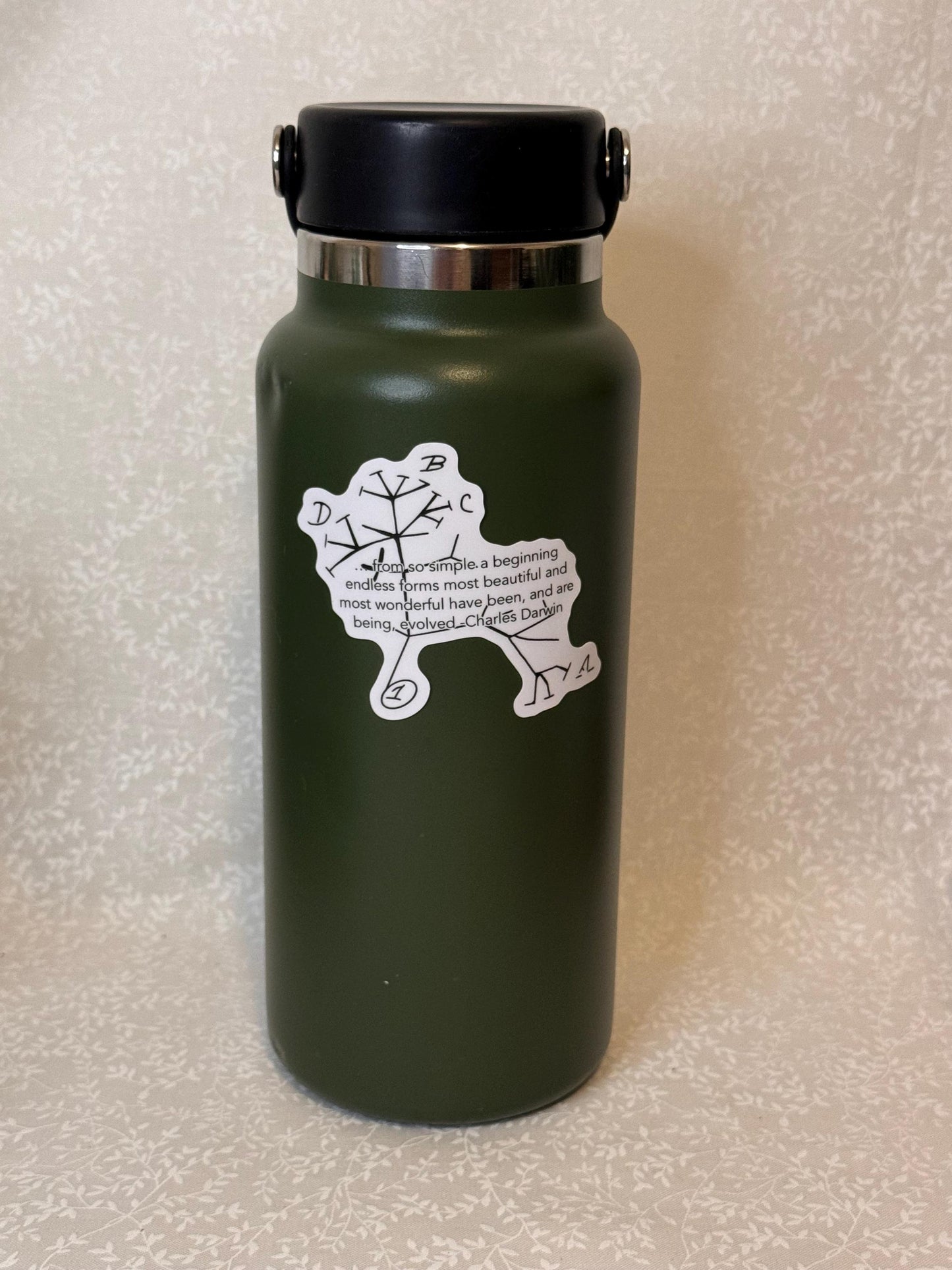 Charles Darwin - Tree of Life | Sticker