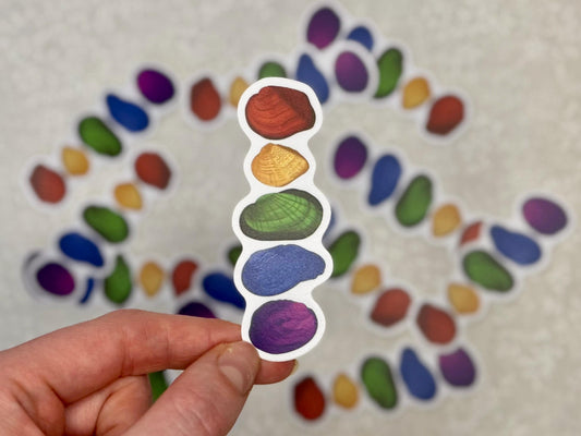 Rainbow freshwater mussel | Sticker