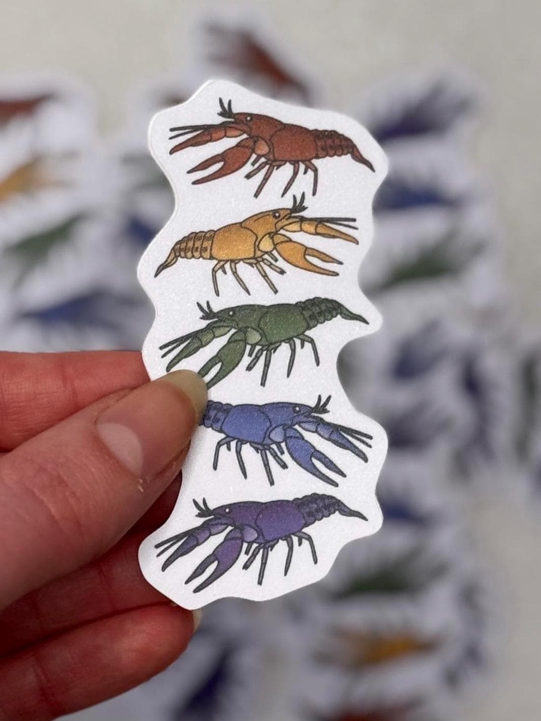 Rainbow crayfish | Sticker