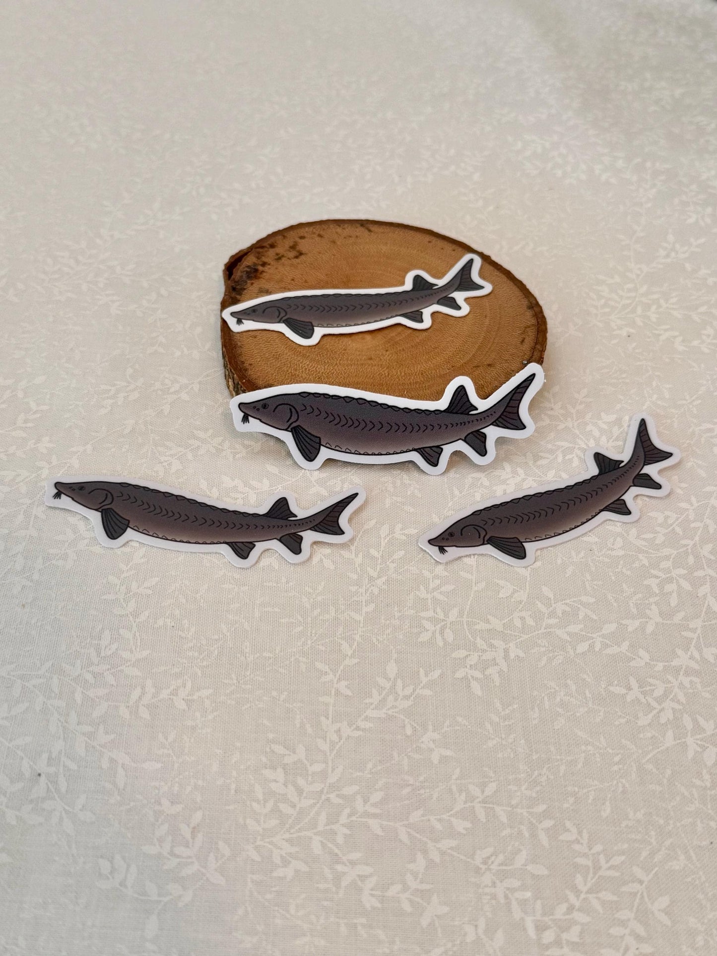 Sturgeon |Sticker