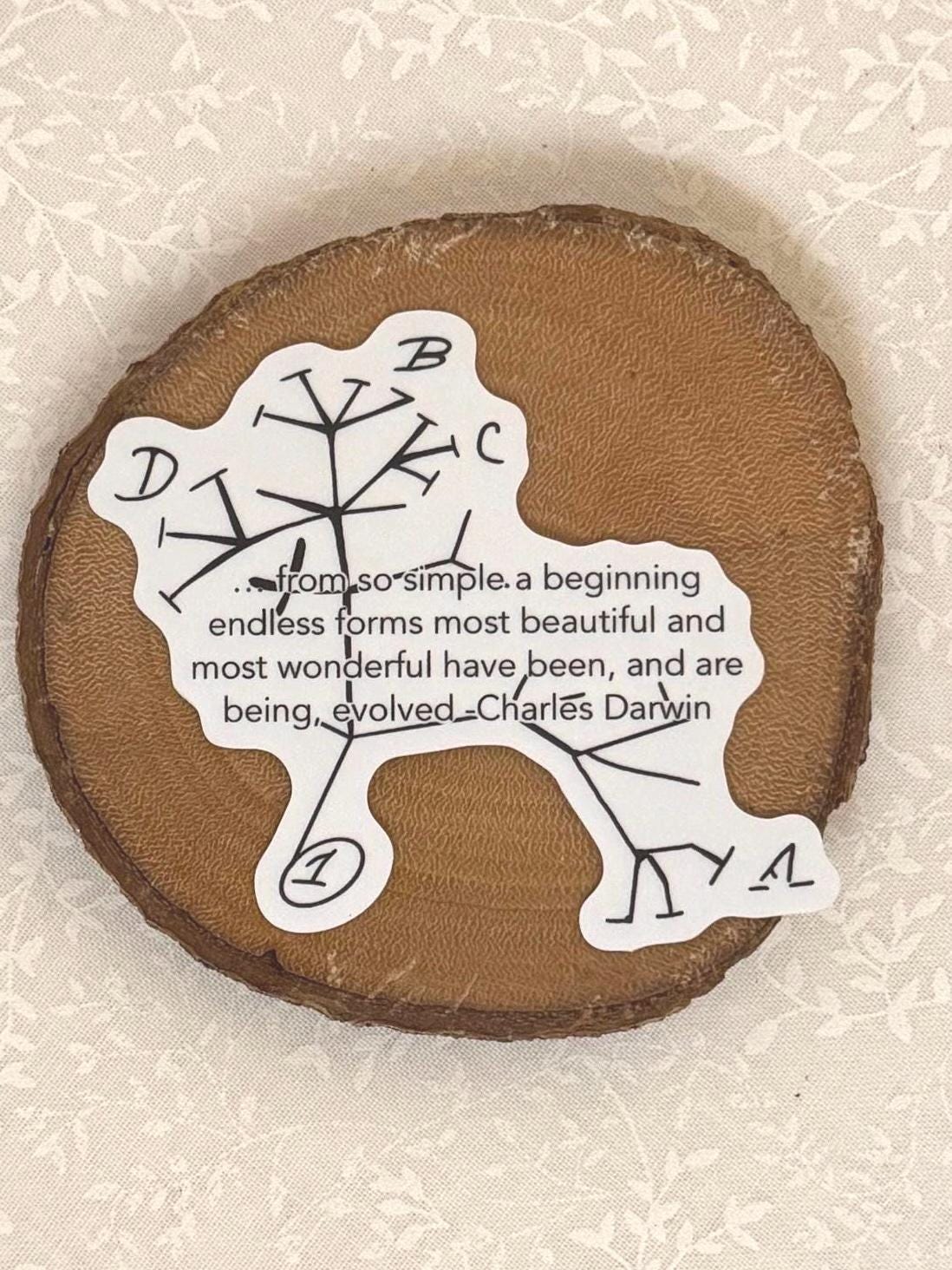 Charles Darwin - Tree of Life | Sticker