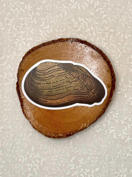 Freshwater Mussel Sticker Set | 6 Species Collection | Biology Gift for Scientists & Nature Lovers | Wildlife Sticker Pack