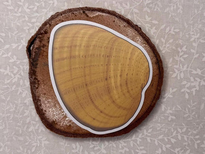 Freshwater mussel | Sticker