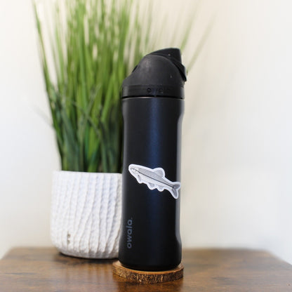 Bluntnose Minnow | Sticker