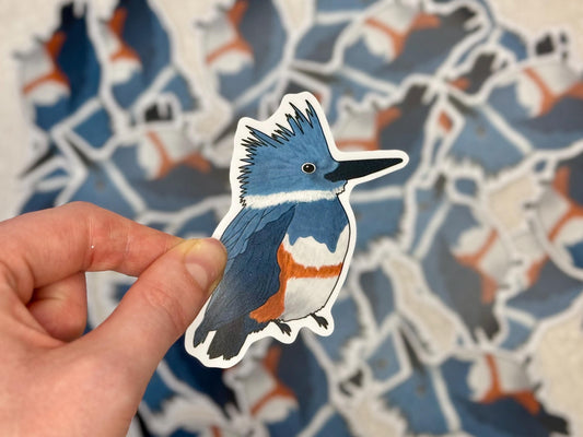 Kingfisher | Sticker