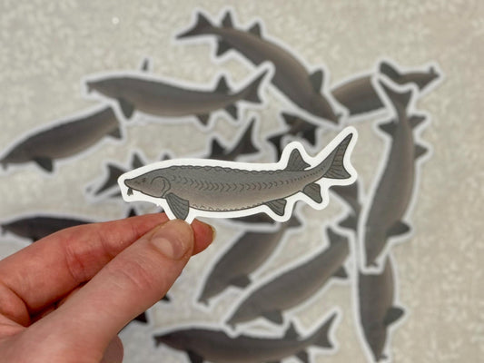 Sturgeon |Sticker